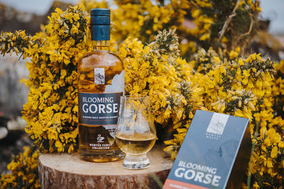 Blooming Gorse bottle, packaging and dram infront of a gorse shrub